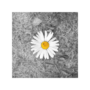 91亚洲最新精品
