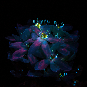 91亚洲最新精品
